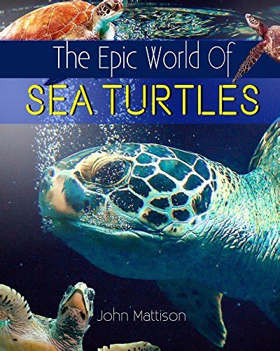 The Epic World Of Sea Turtles eBook : Mattison, John: Amazon.in: Kindle ...
