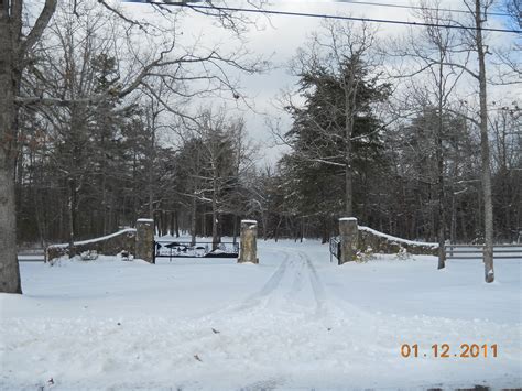 Camp Juliette Low Alum Association