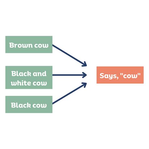 Image result for Generalization ABA Example Life