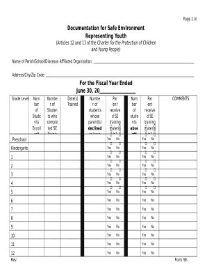 Documentation for Safe Environment Representing Youth Doc Template ...