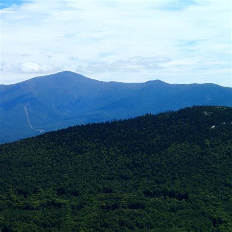 Dry River Crawford Notch State Park Camping | The Dyrt