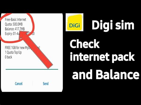 Digi Data. Check Balance 的图像结果