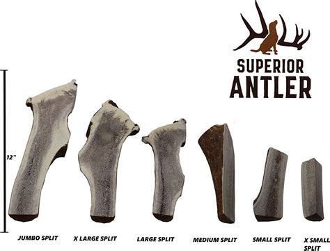 Buy Jumbo Elk Antler Split for Dogs –XXL G Natural Premium Grade A ...
