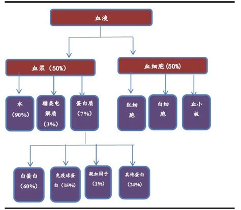 血液主要组成成分中医血液的组成成分主要有2022已更新今日更新
