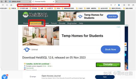 HeidiSQL MySQL 的图像结果