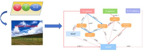 Functional Groups Dominate Aboveground Net Primary Production under ...