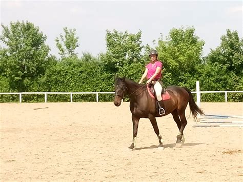 SALAS STREMEN, Jakovo - Restaurant Reviews, Phone Number & Photos ...