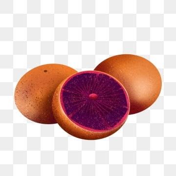 Frame Vector Shop 的图像结果