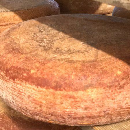 WILMA'S CHEESE FACTORY (Killorglin) - What to Know Before You Go