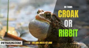 Do Toads Make Sounds 的图像结果