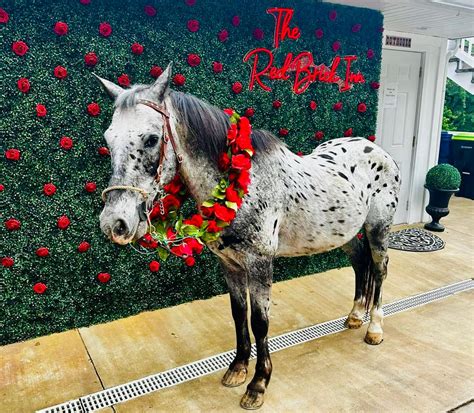 Second Annual RBI Derby Party 🎉🏇 , 500 Boyds Landing Rd, Cadiz, 3 May ...