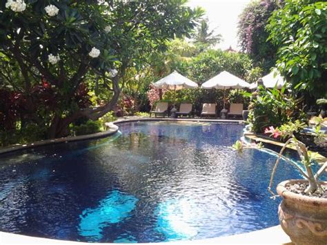 SAWAH LOVINA BUNGALOWS (Bali/Anturan, Lovina Beach) - Lodge Reviews ...