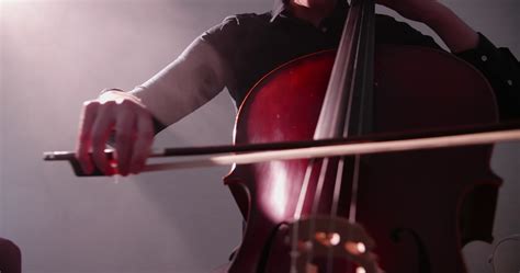 Image result for Professional Cellist Practice Routine