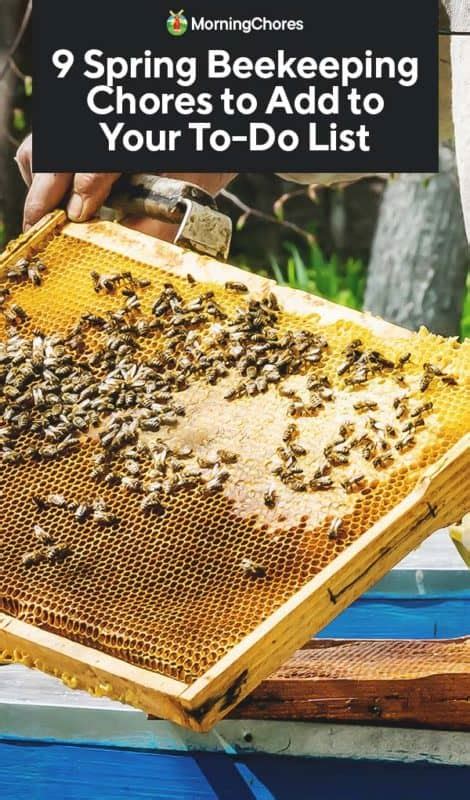 Image result for Spring Beekeeping