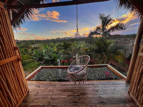 Tree Net 的图像结果