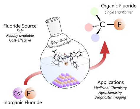 Organic Catalyst In Chemical Reaction at Leo Mclucas blog