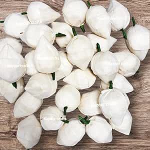 Buy Kapoor Crafts 10 Pcs Artificial Sola Wood Paper Fake Lotus Bud ...