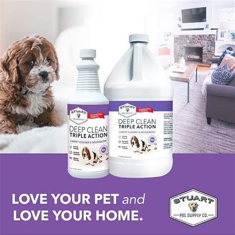 Buy Stuart Pet Supply Co. Professional Strength Deep Clean 3X Carpet ...