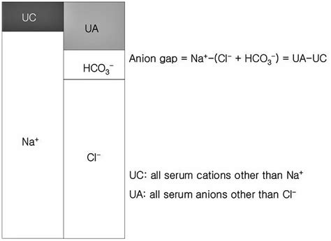 Anion gap calculation, anion gap blood test & causes of high or low ...