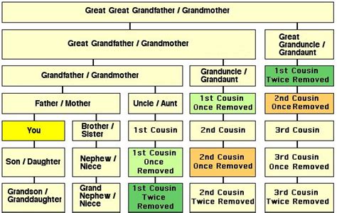 Image result for Basic Programming Courses