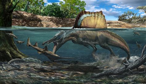 Dense Bones Allowed Spinosaurus – The Biggest Carnivorous Dinosaur Ever ...