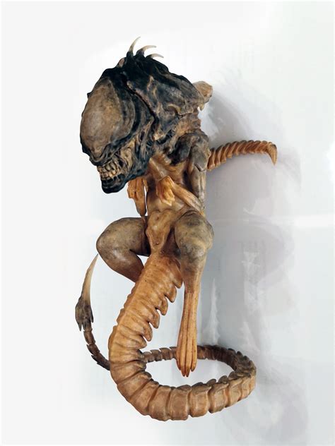 Alien Xenomorph King 的图像结果
