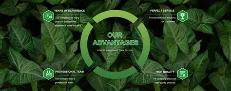 Company Overview - Xi'an HY Industry And Trade Co., Ltd.