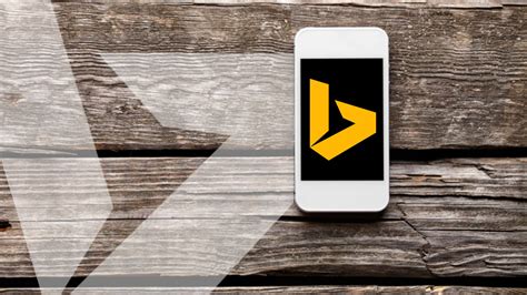 Bing App iOS 的图像结果
