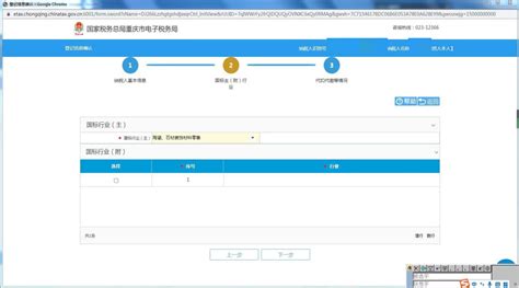 重庆市电子税务局公共查询操作流程说明_95商服网