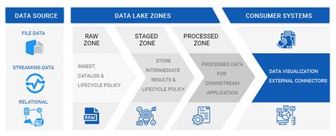 Data Management Organization Chart 的图像结果