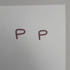 Image result for How to Use PP Script