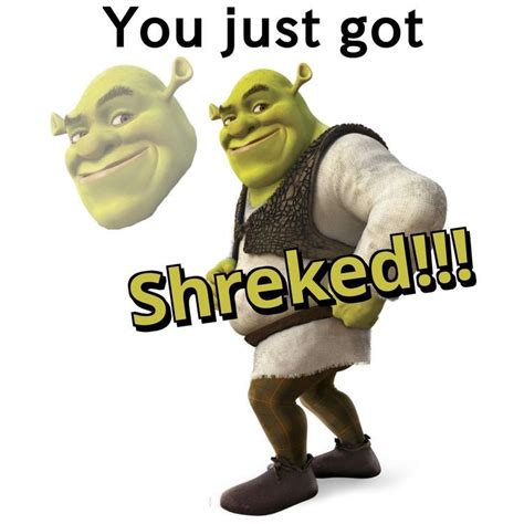 Image result for Shrek Script Memes