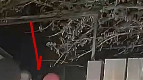 Image result for Alien 15 Las Vegas