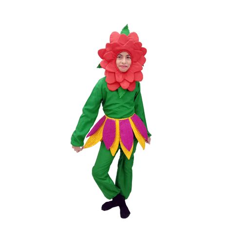 Rose Dress - Kids Fancy Costume (IMC596) – ItsMyCostume