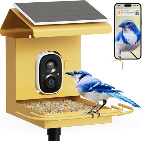 Amazon.com : Metal Smart Bird Feeder with Camera Solar Powered ...