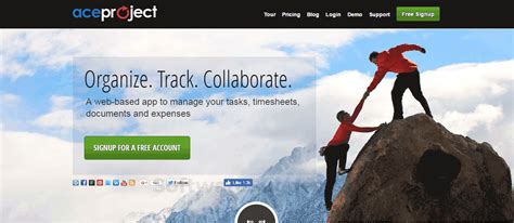 AceProject Tutorial 的图像结果