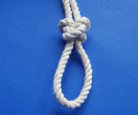 Image result for Wellerman Loop