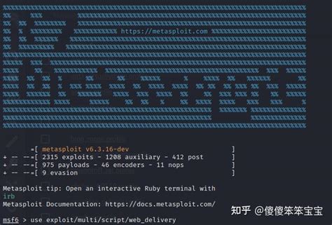 Metasploit Exploit Web Server 的图像结果