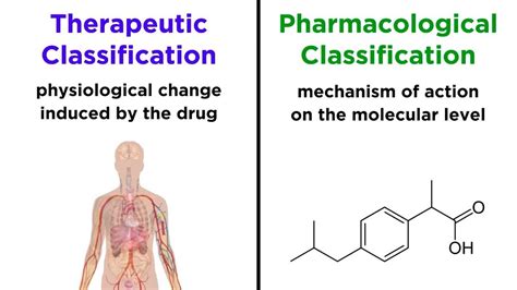 Image result for Classification Medication