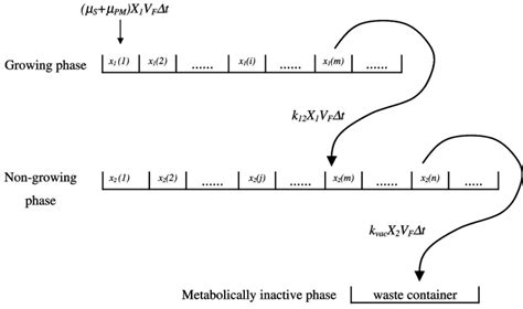 Aging Model 的图像结果