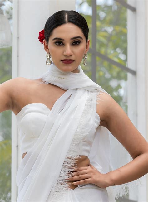 Chiffon Collection Saree