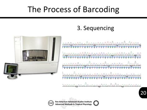 Image result for DNA Barcoding Explained