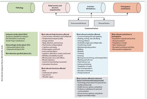 Image result for CVA Recovery