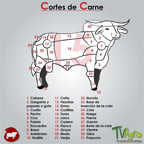 Cortes De Carne El Origen De La Picanha Segn Un