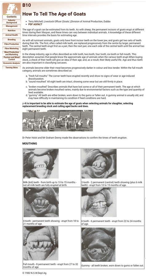 Pin von Tina Wagner auf goat