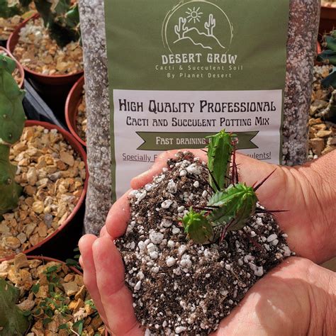 Cactus and Succulent Soil Mix – Planet Desert