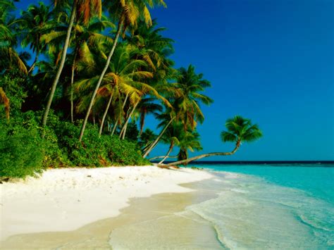 Bing Wallpaper Beach 的图像结果