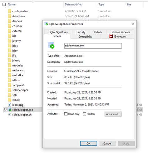 Image result for Oracle SQL Developer Icon