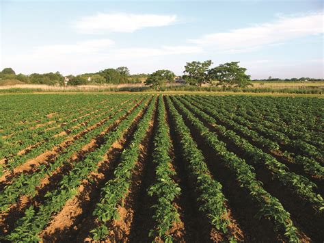 Peconic Land Trust | LinkedIn