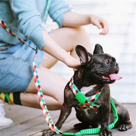 ペット用品 ココアンドルカ BASE店